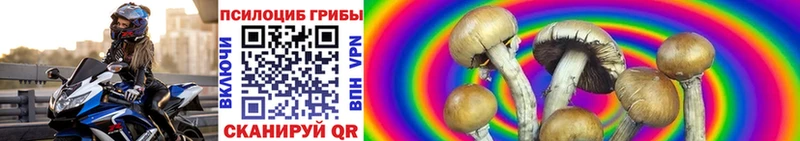 Псилоцибиновые грибы Psilocybine cubensis  купить   Будённовск 